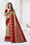 Elegant Saree