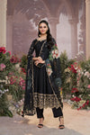 Elegant Embroidered Anarkali Suit Set